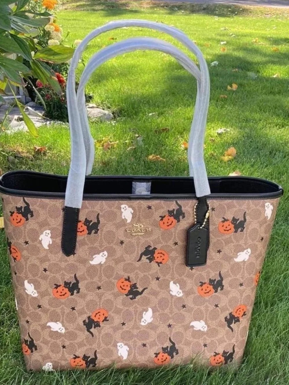 COACH City Tote In Signature Canvas With Halloween Print